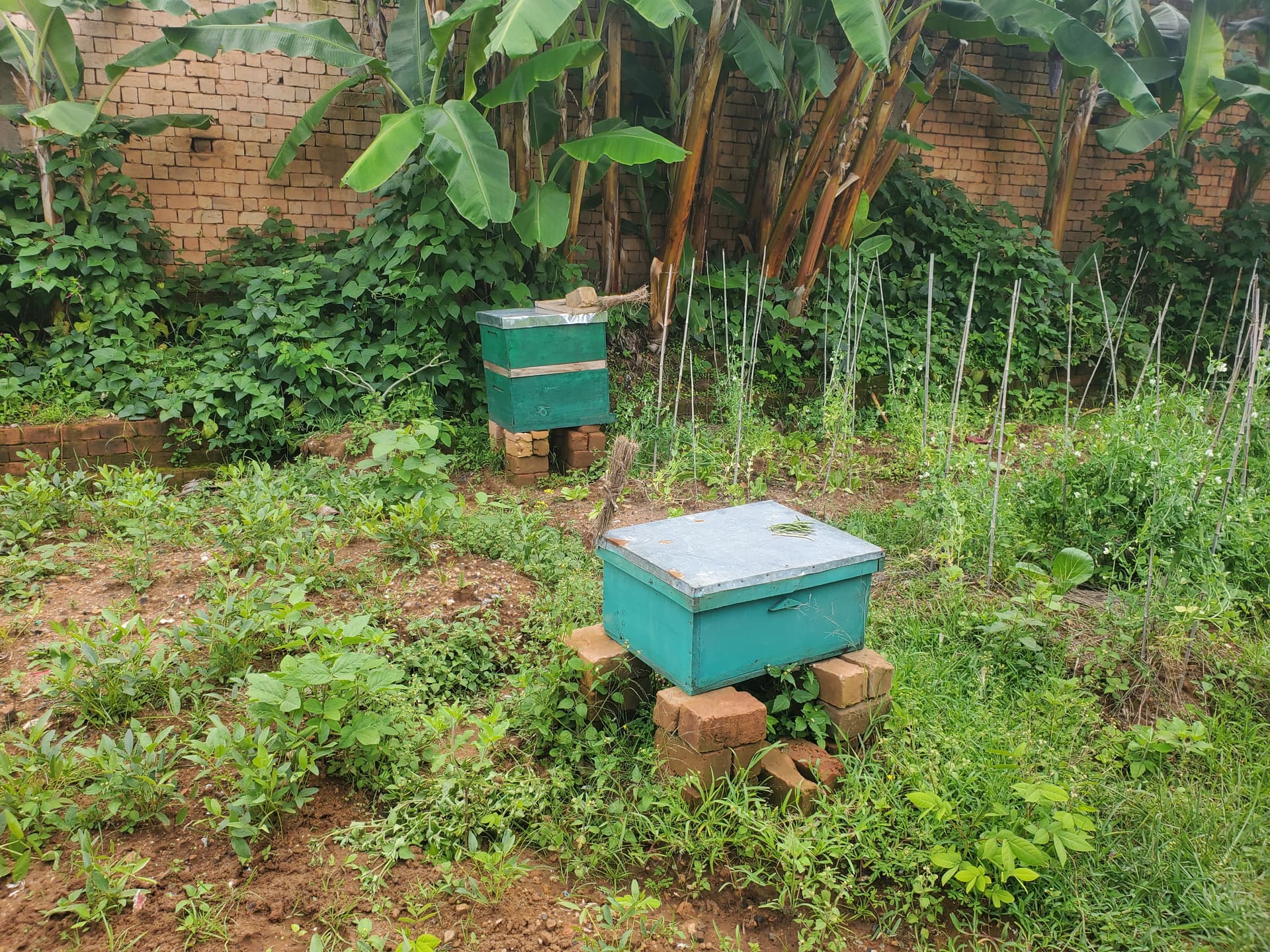 Ruches et Apiculture