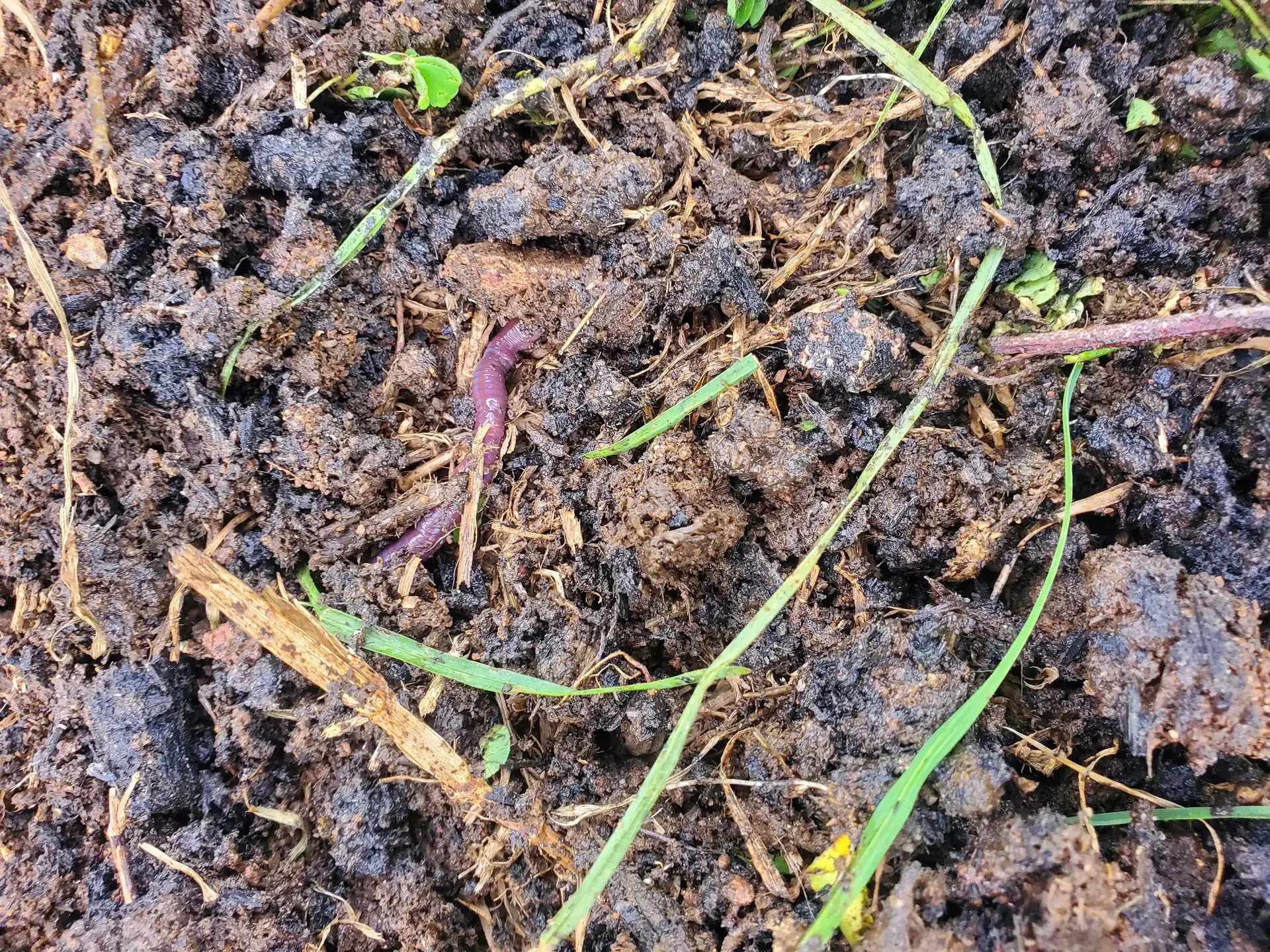 Rich soil representing farm data