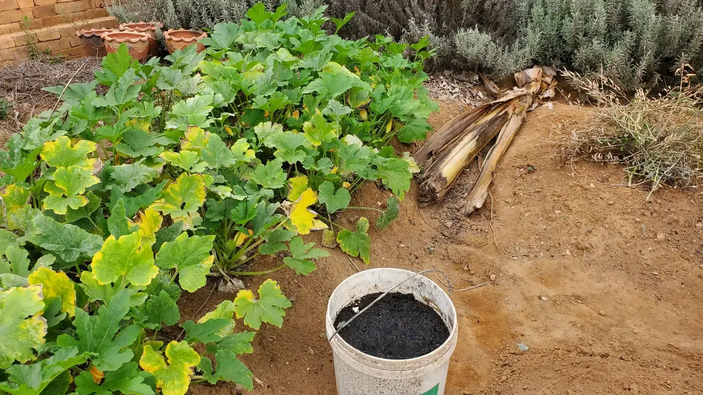 Fanatsarana amin'ny Biochar