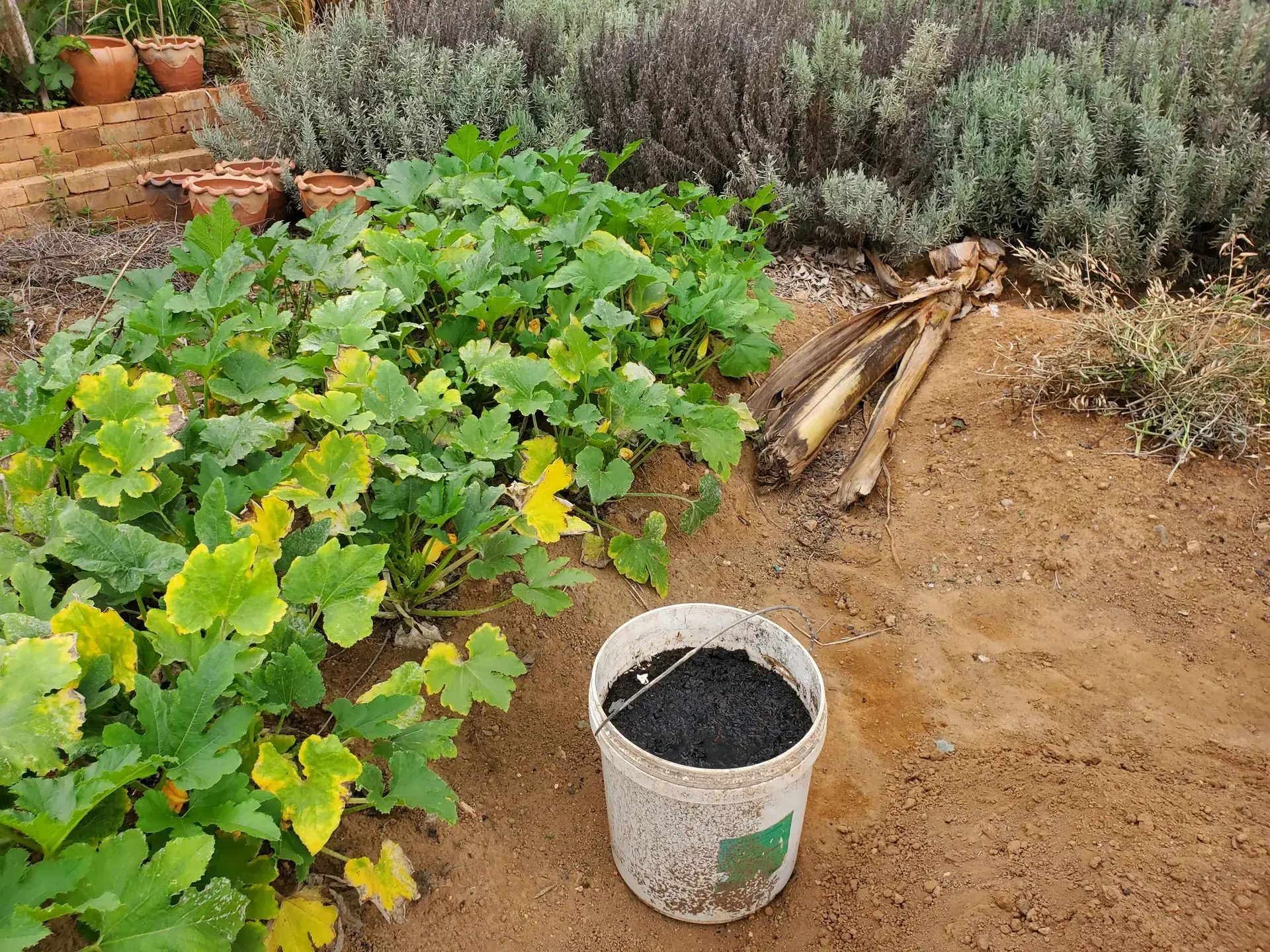 Rich soil